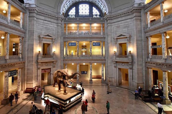 National Museum of Natural History, Photo Courtesy of Michelle Forte Photography